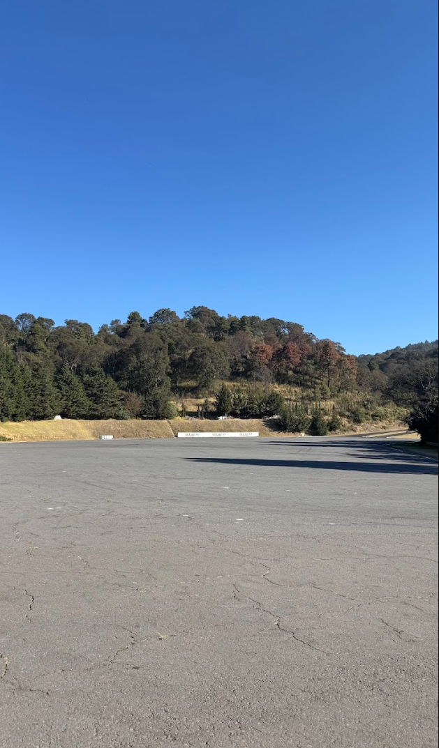 Pista de manejo abierta rodeada de bosque