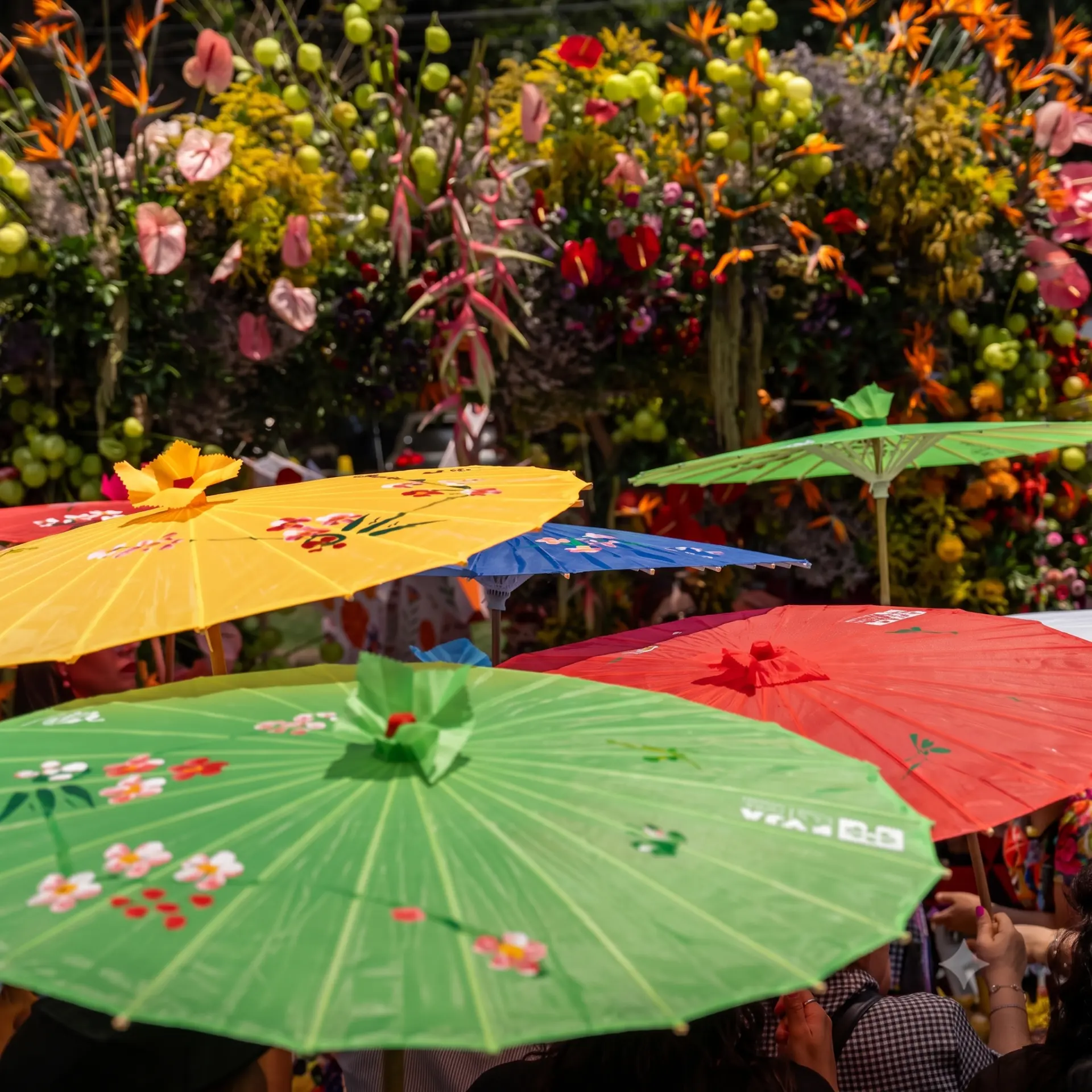 Festival Flores y Jardines — imagen 2